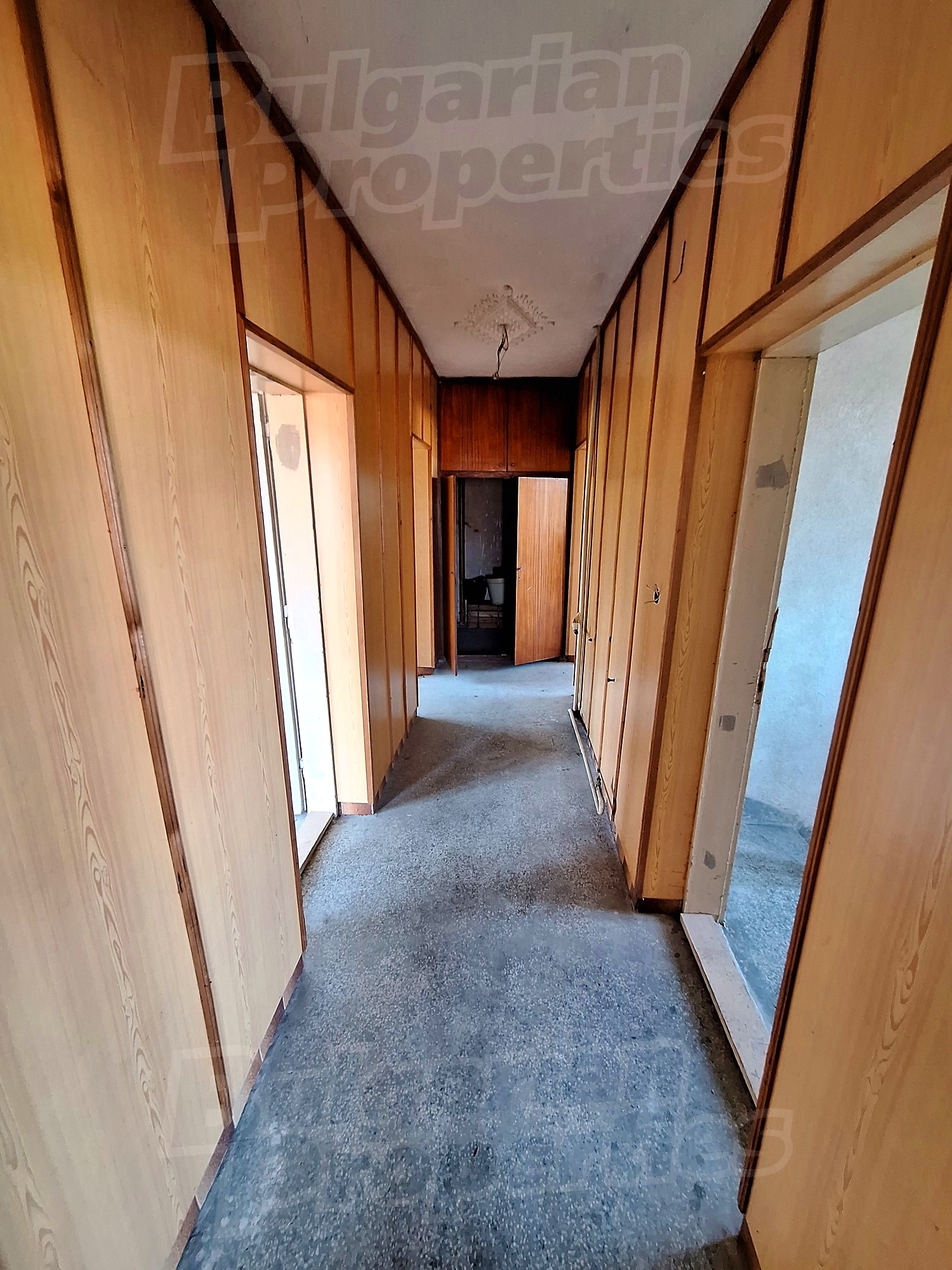 Gallery Picture 14