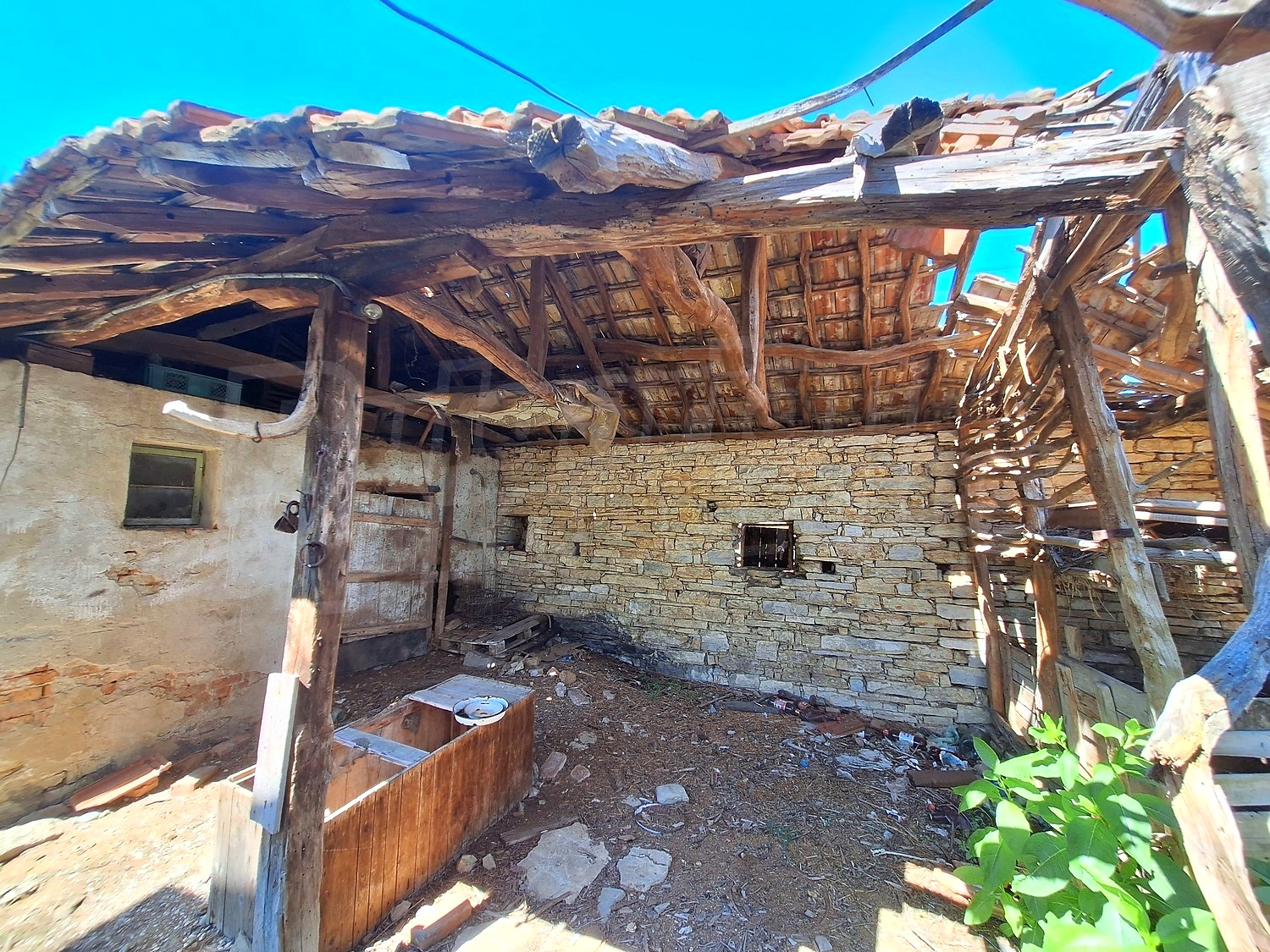 Gallery Picture 18