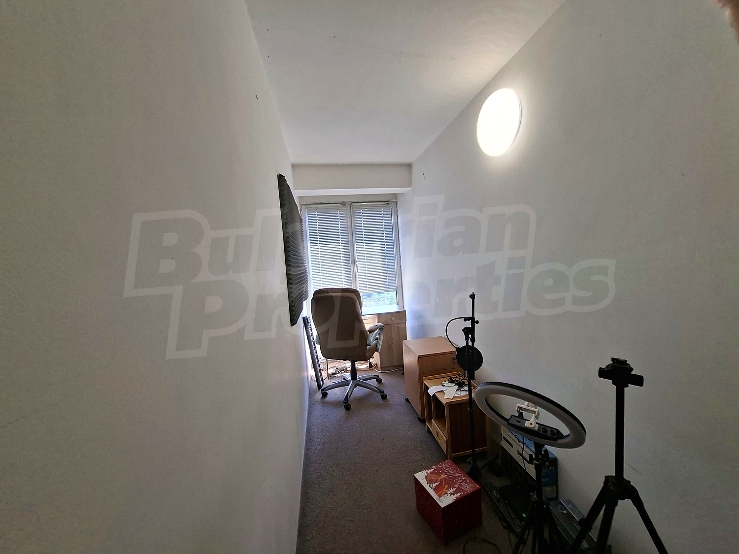 Gallery Picture 11