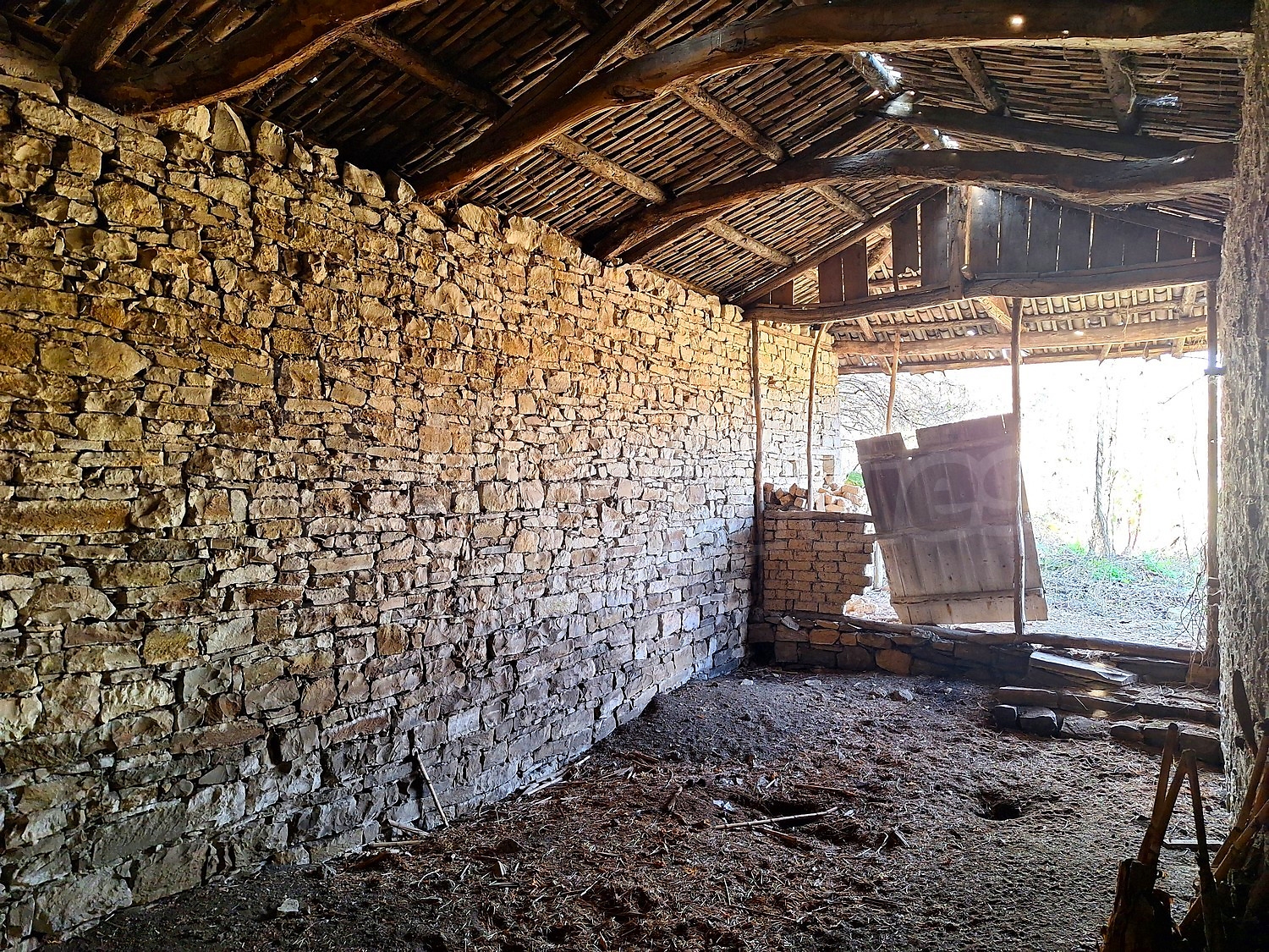 Gallery Picture 5