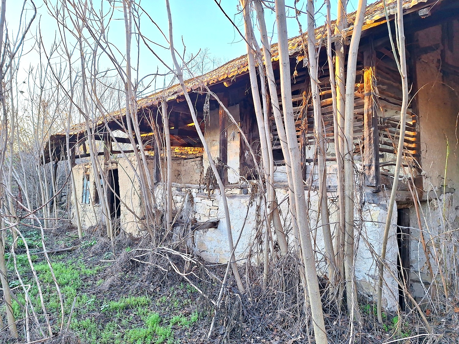 Gallery Picture 15
