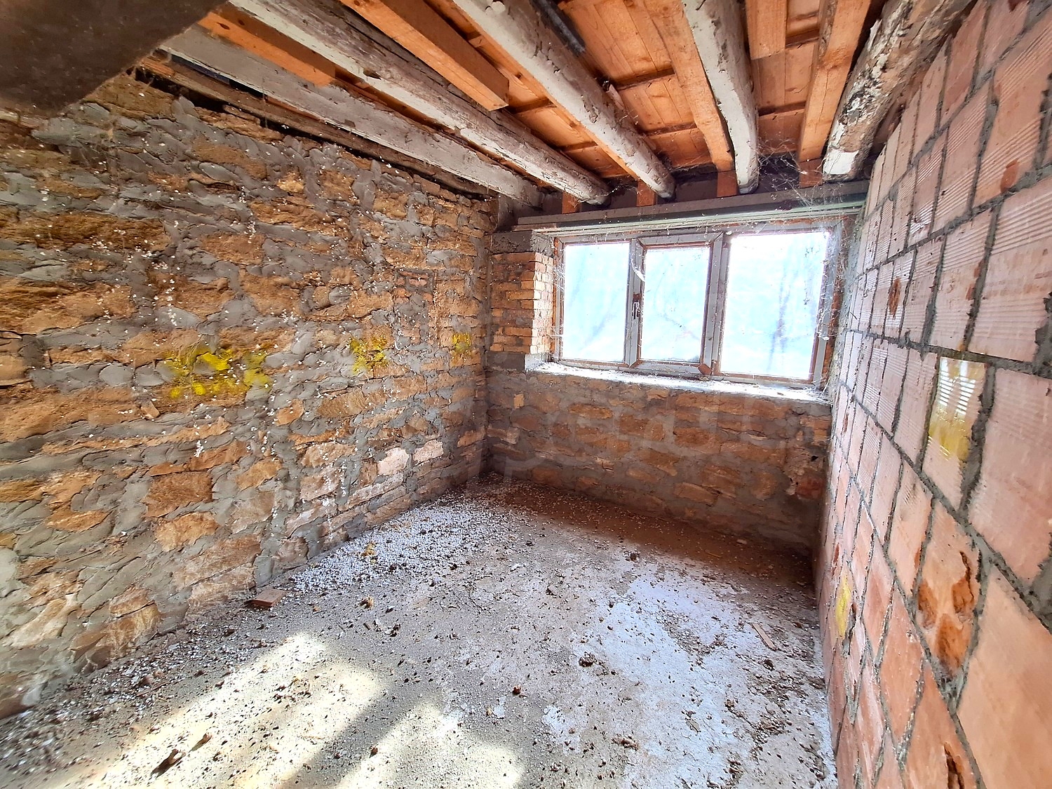 Gallery Picture 10