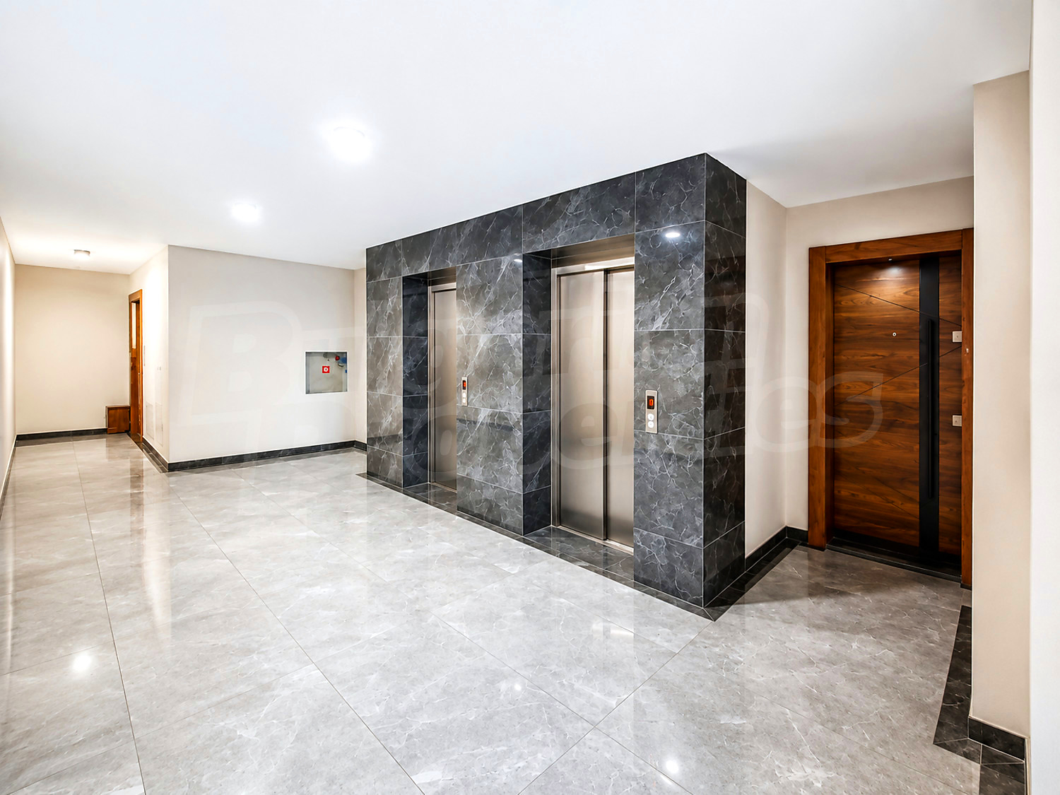 Gallery Picture 17