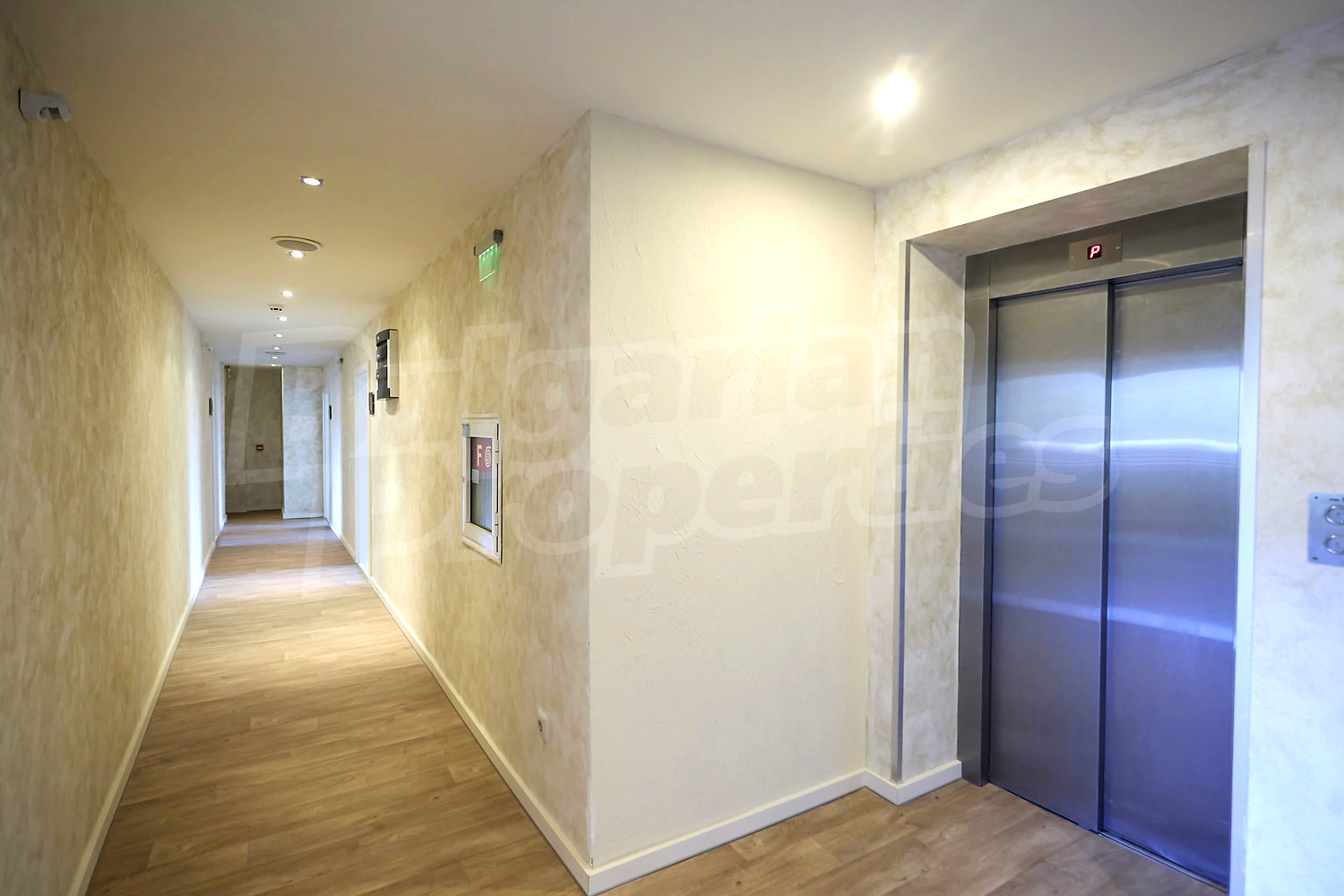 Gallery Picture 27