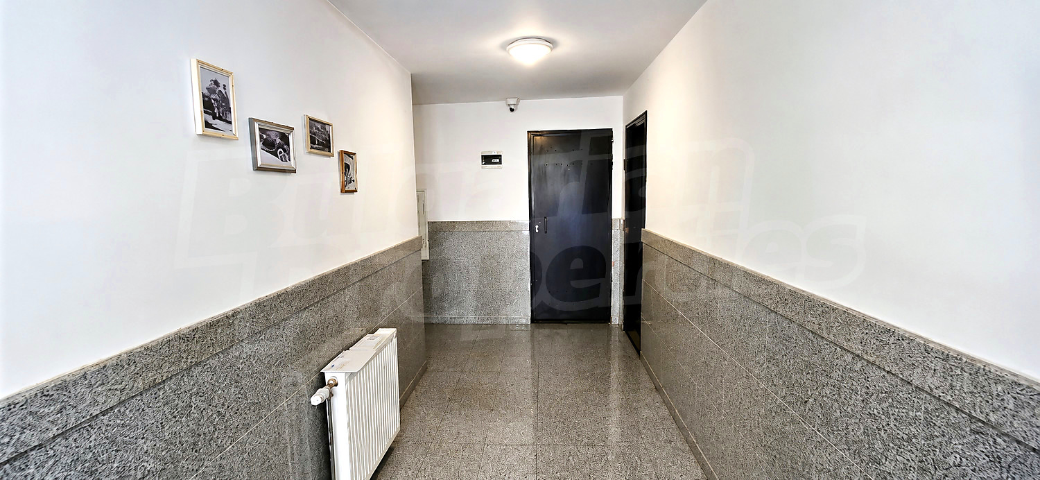 Gallery Picture 13