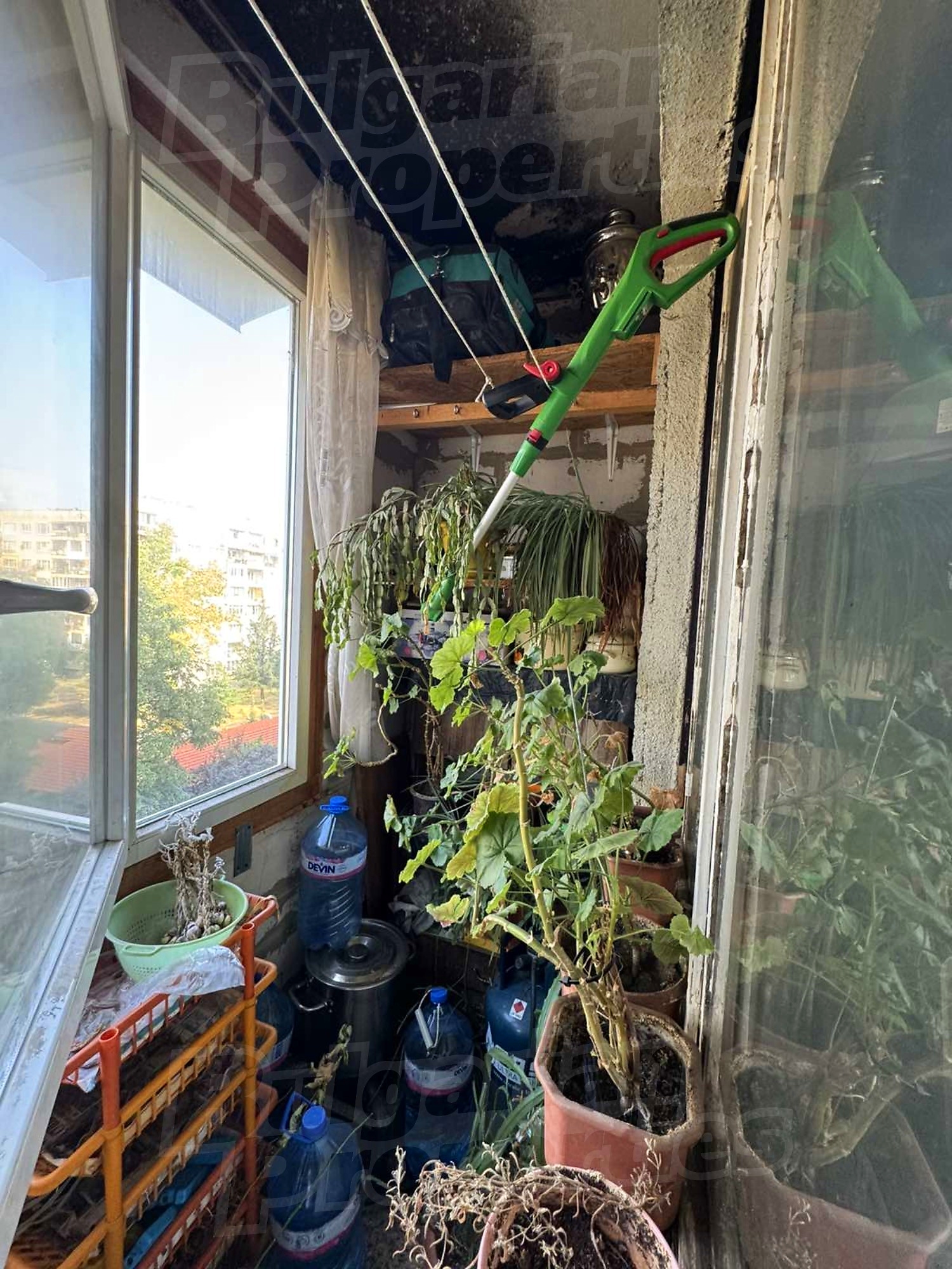 Gallery Picture 18