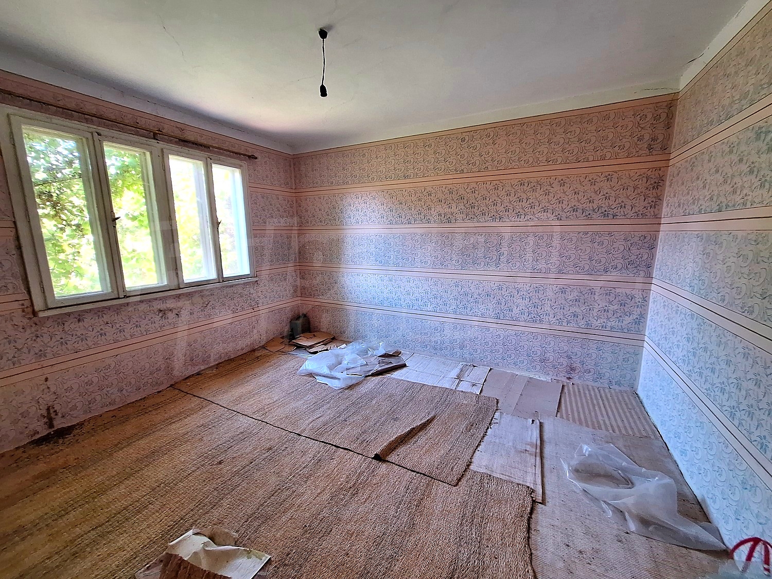 Gallery Picture 2