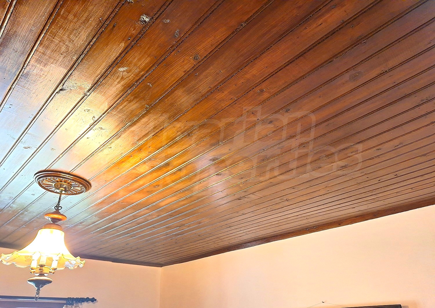 Gallery Picture 17