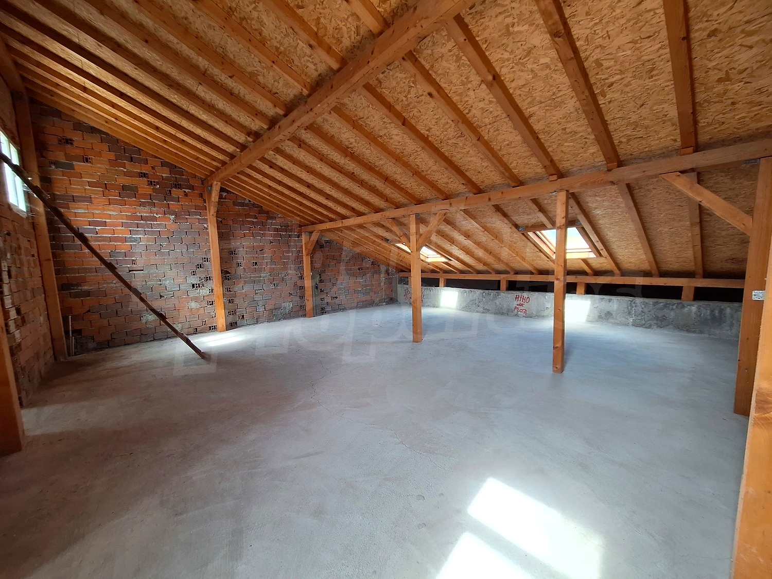 Gallery Picture 14