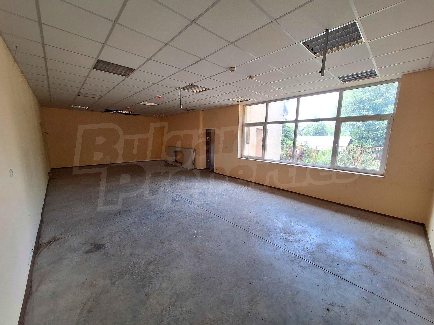 Gallery Picture 11