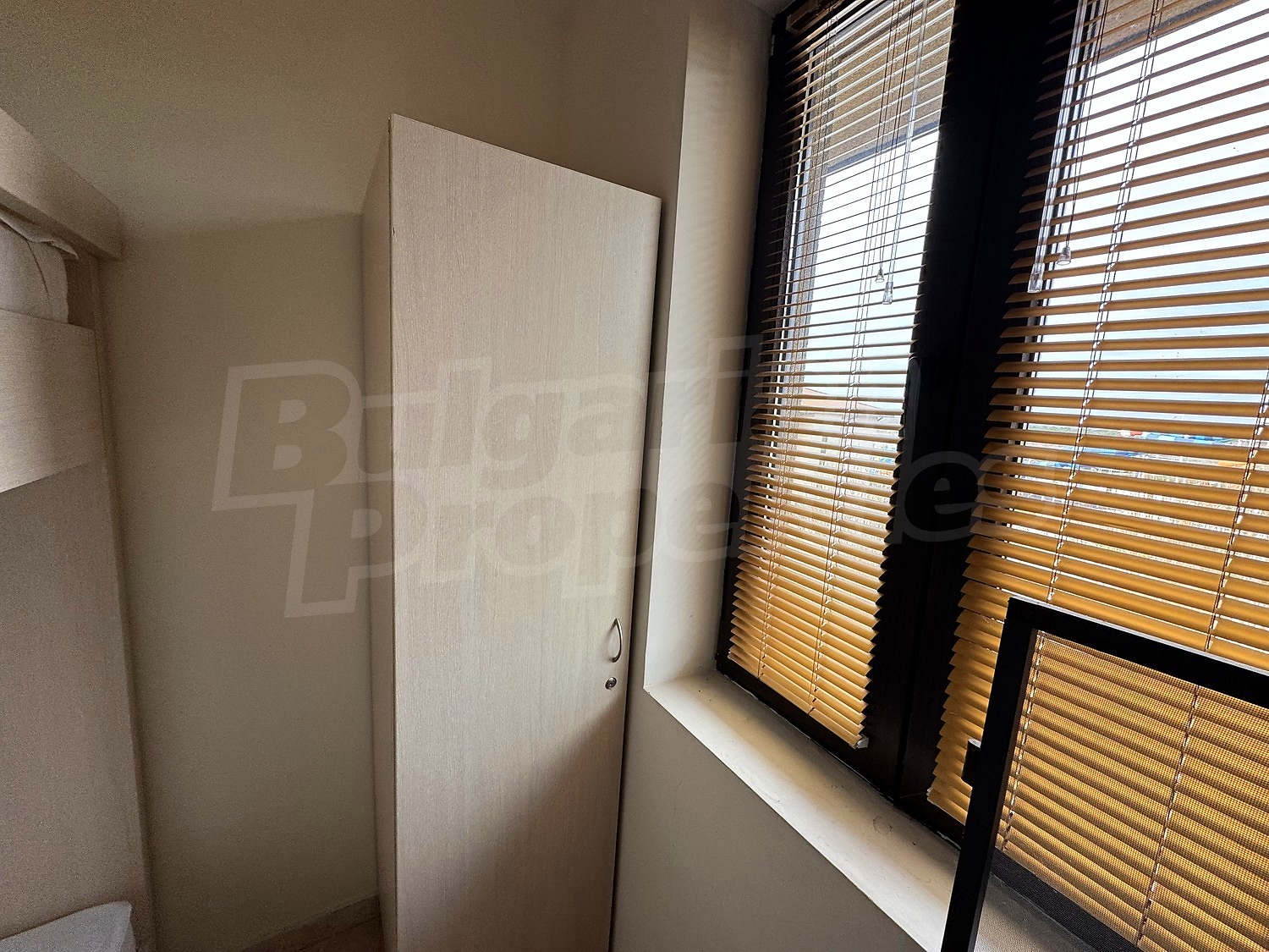 Gallery Picture 18