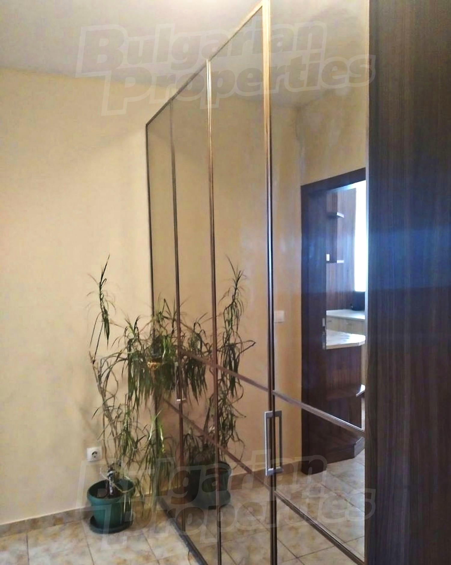 Gallery Picture 11