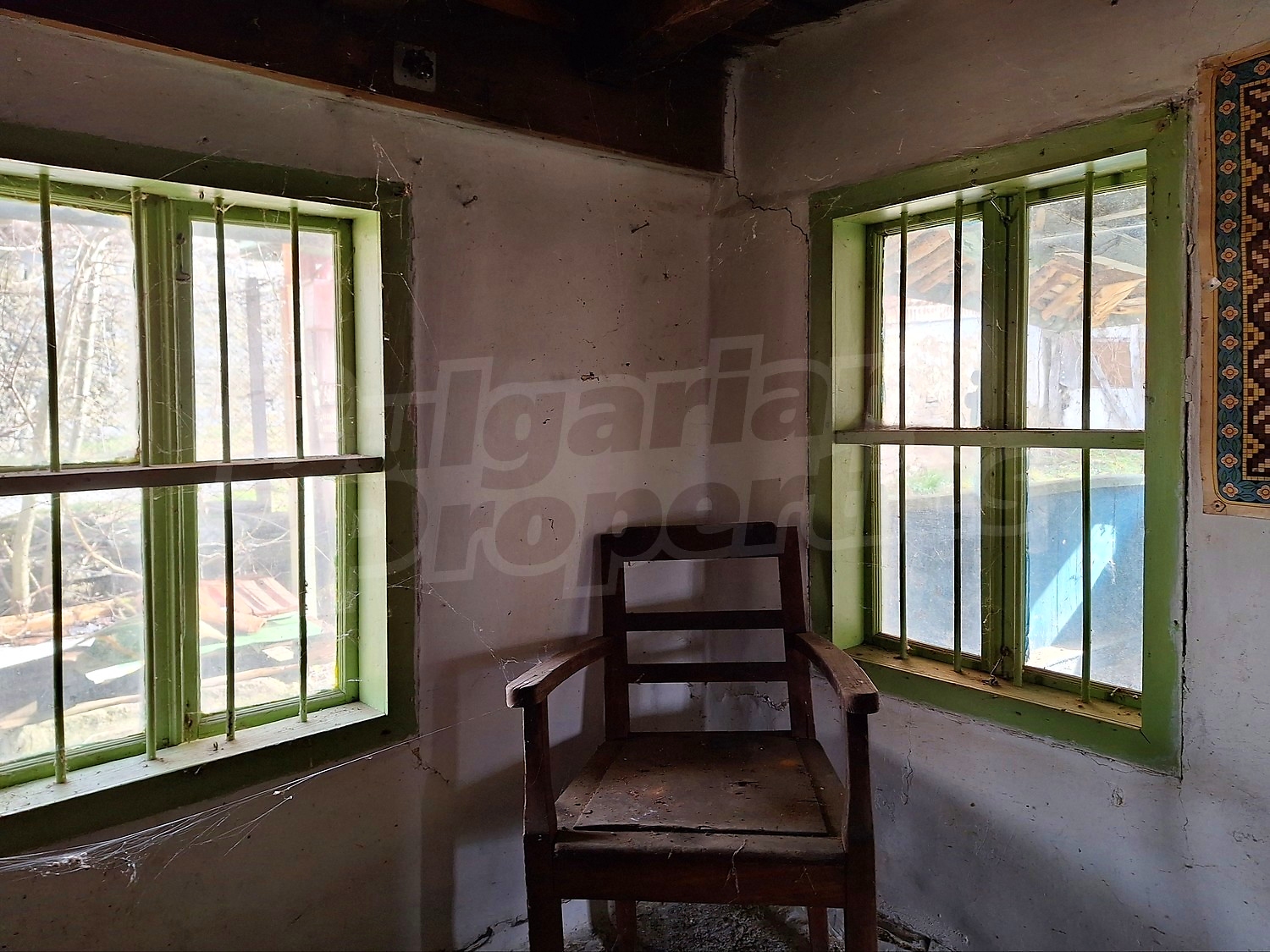 Gallery Picture 21