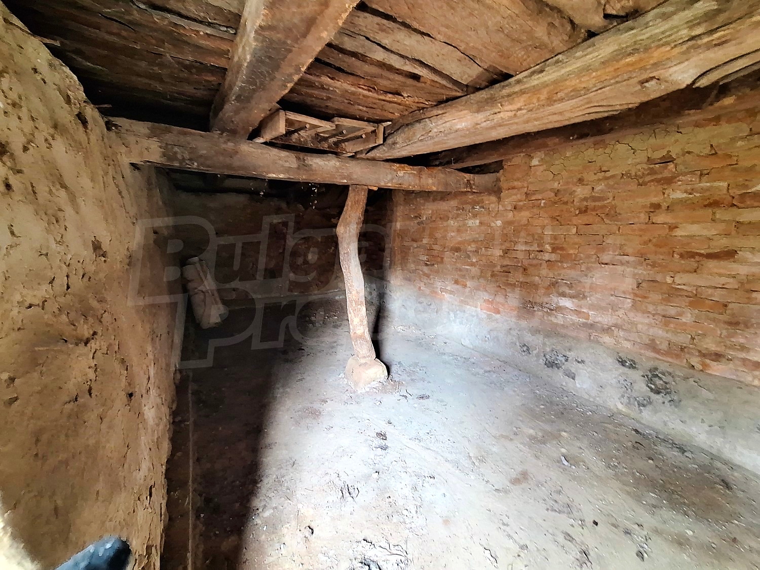 Gallery Picture 14