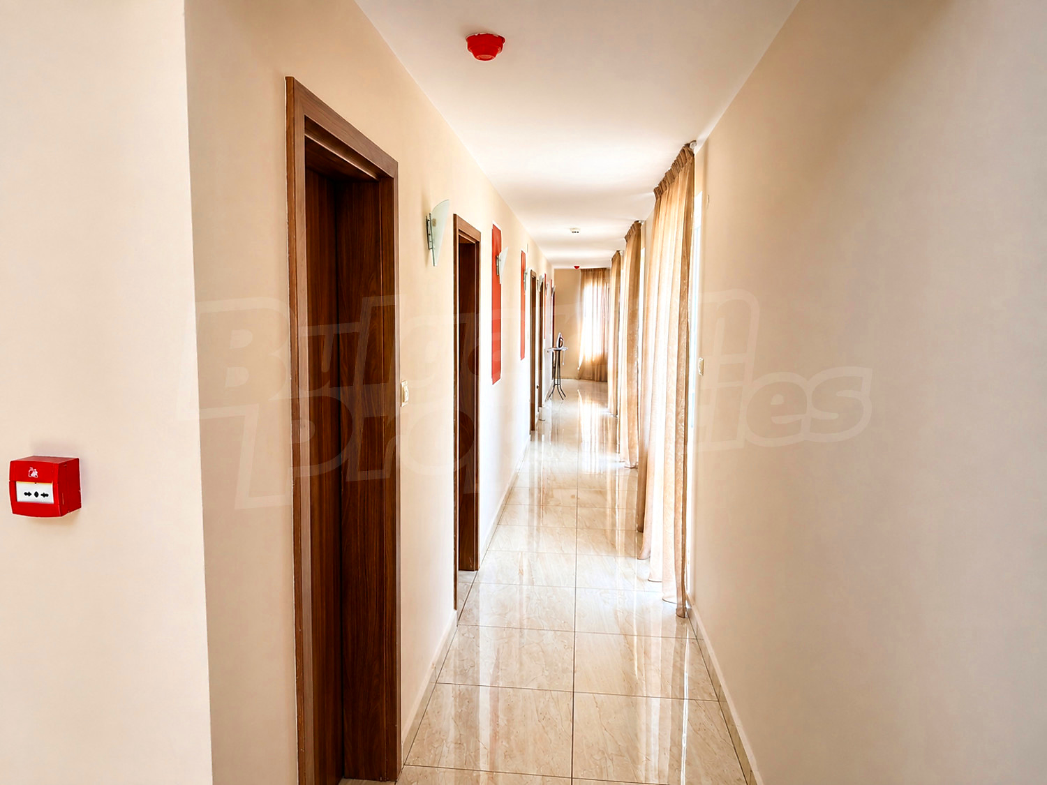Gallery Picture 14