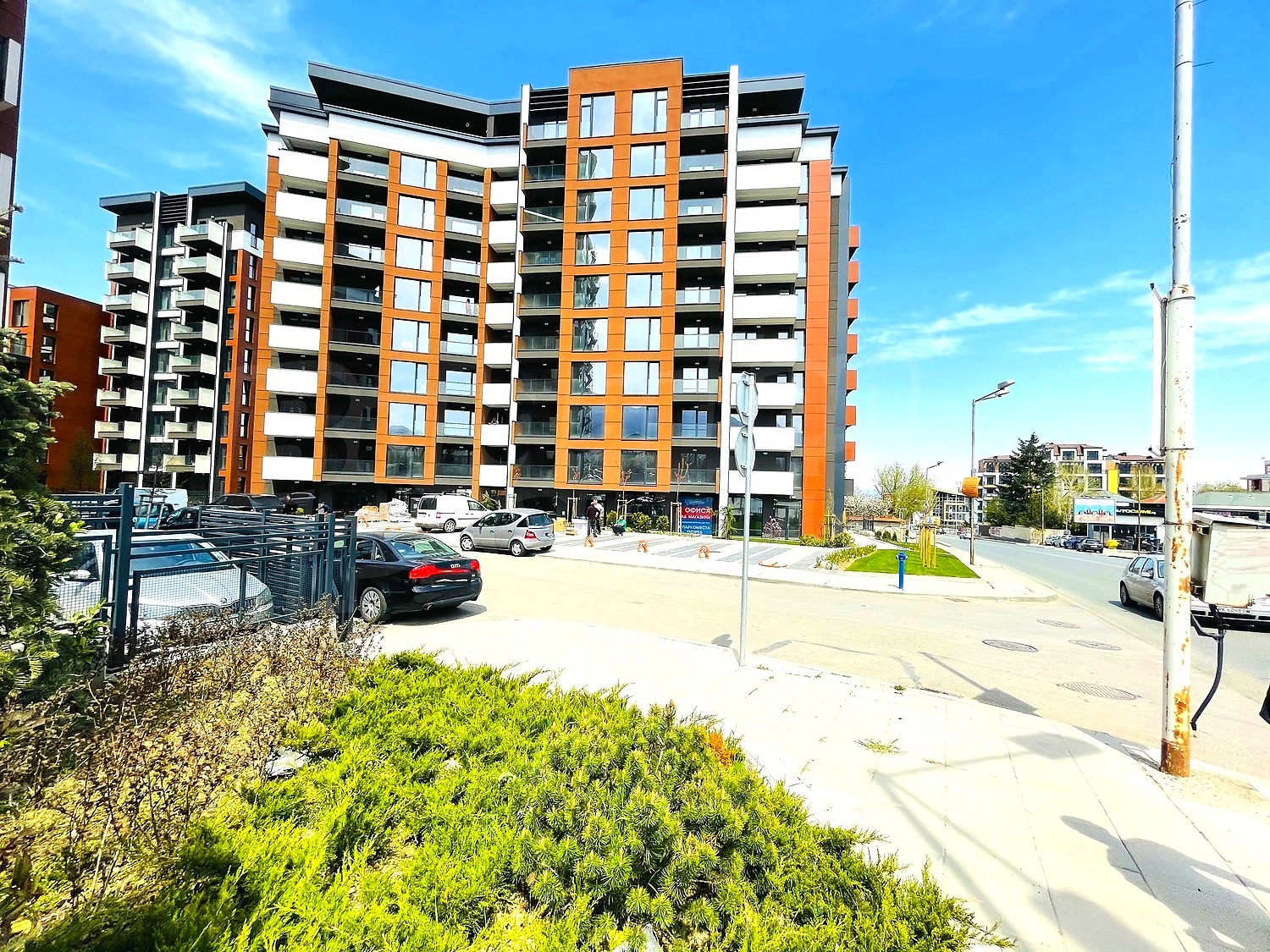 Gallery Picture 49