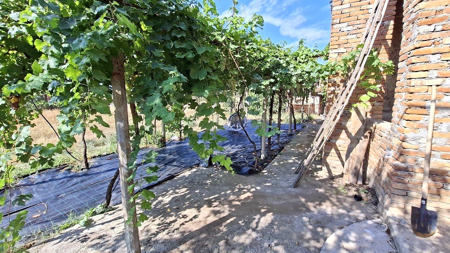 Gallery Picture 28