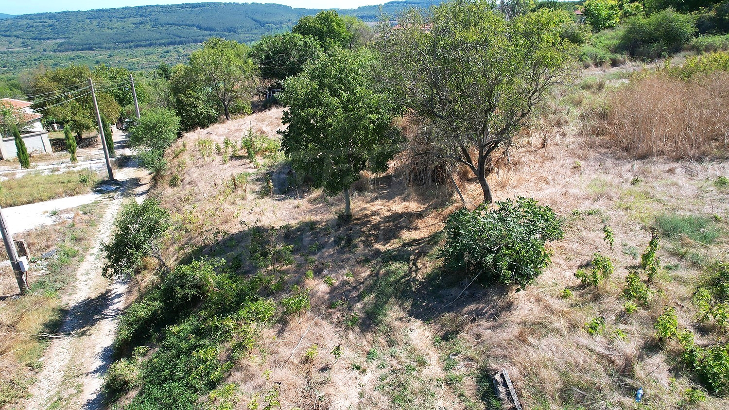 Gallery Picture 48