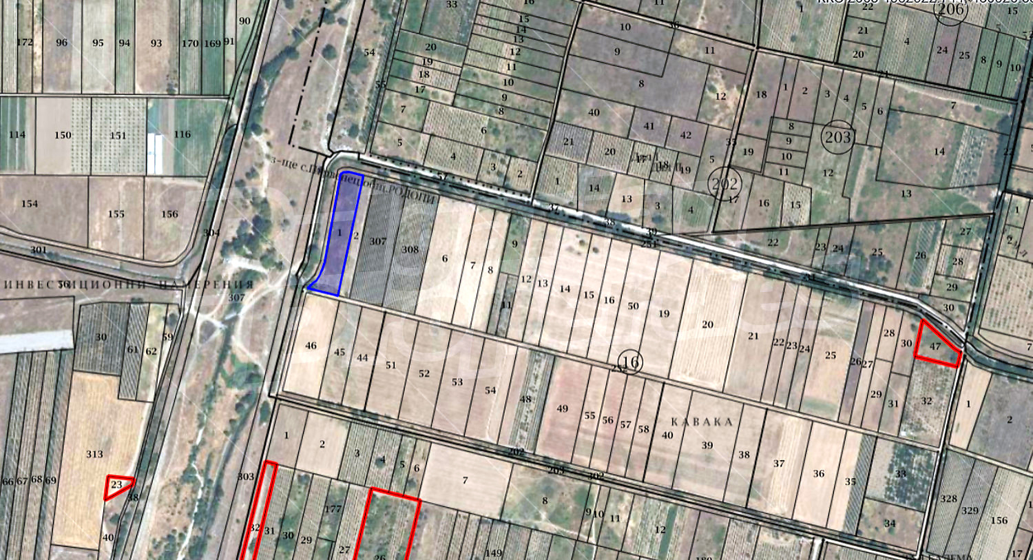 Gallery Picture 10