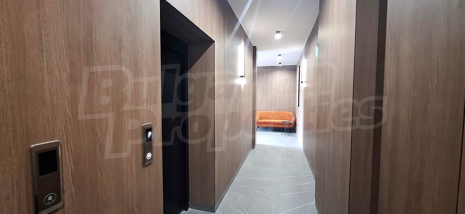 Gallery Picture 17