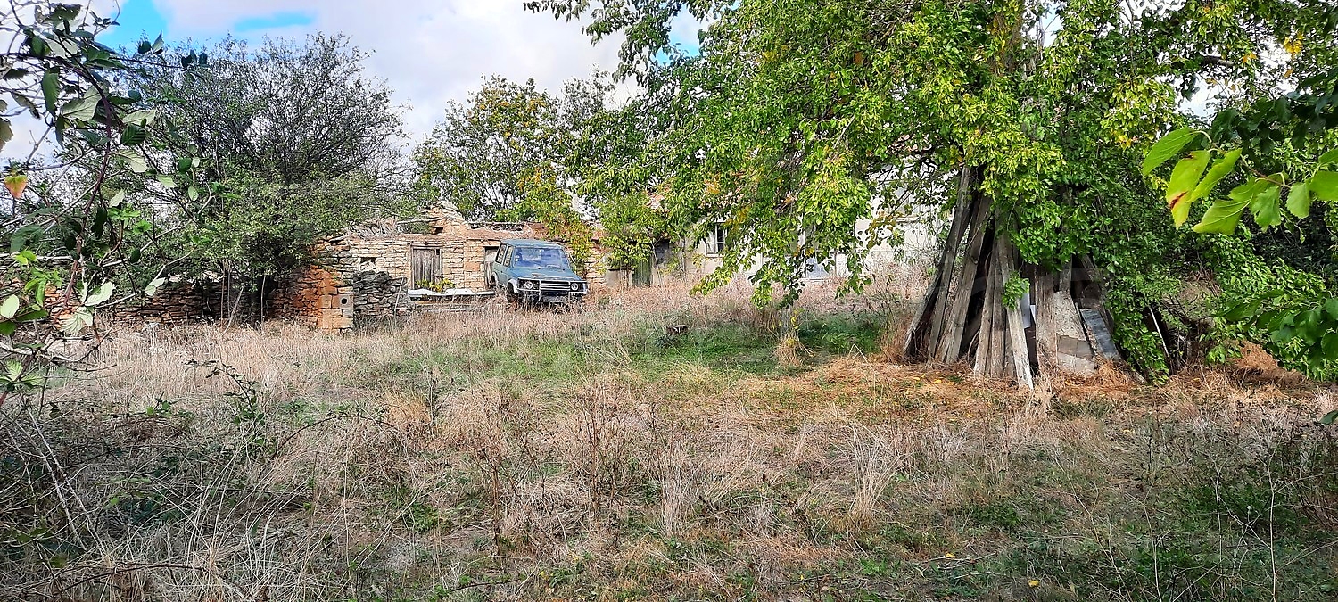 outside, garden