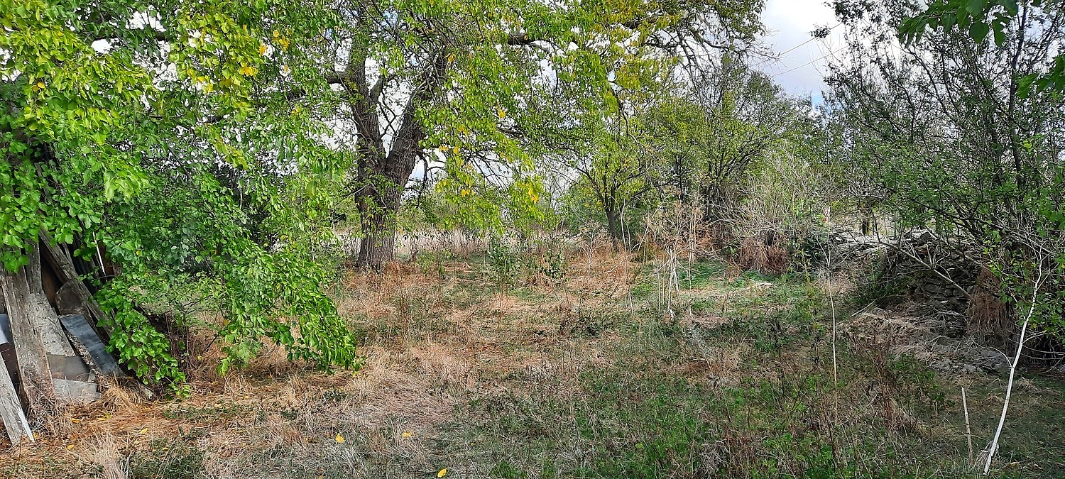 outside, garden, green area