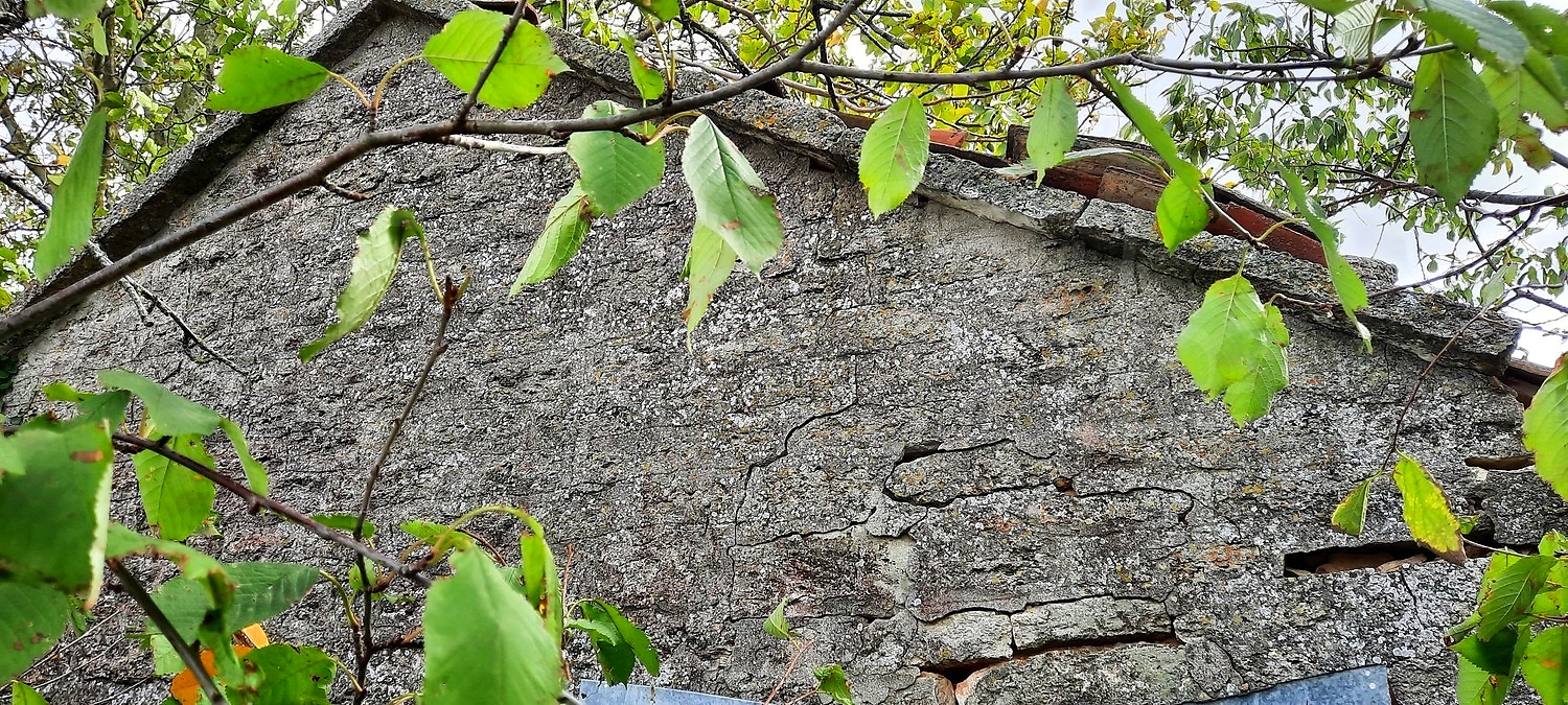 outside, facade, green area