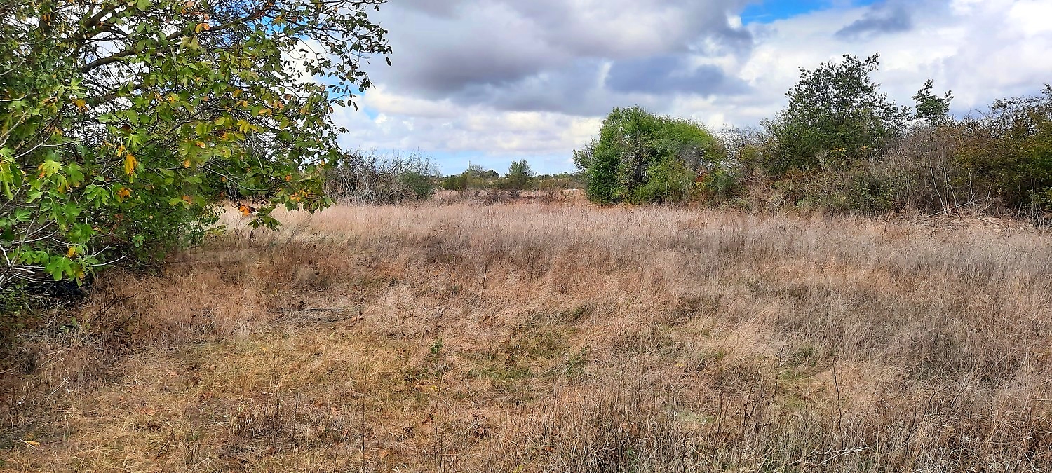 outside, green area