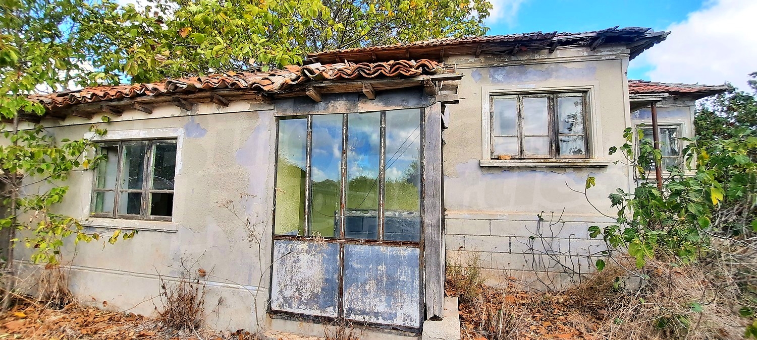 outside, facade, garden