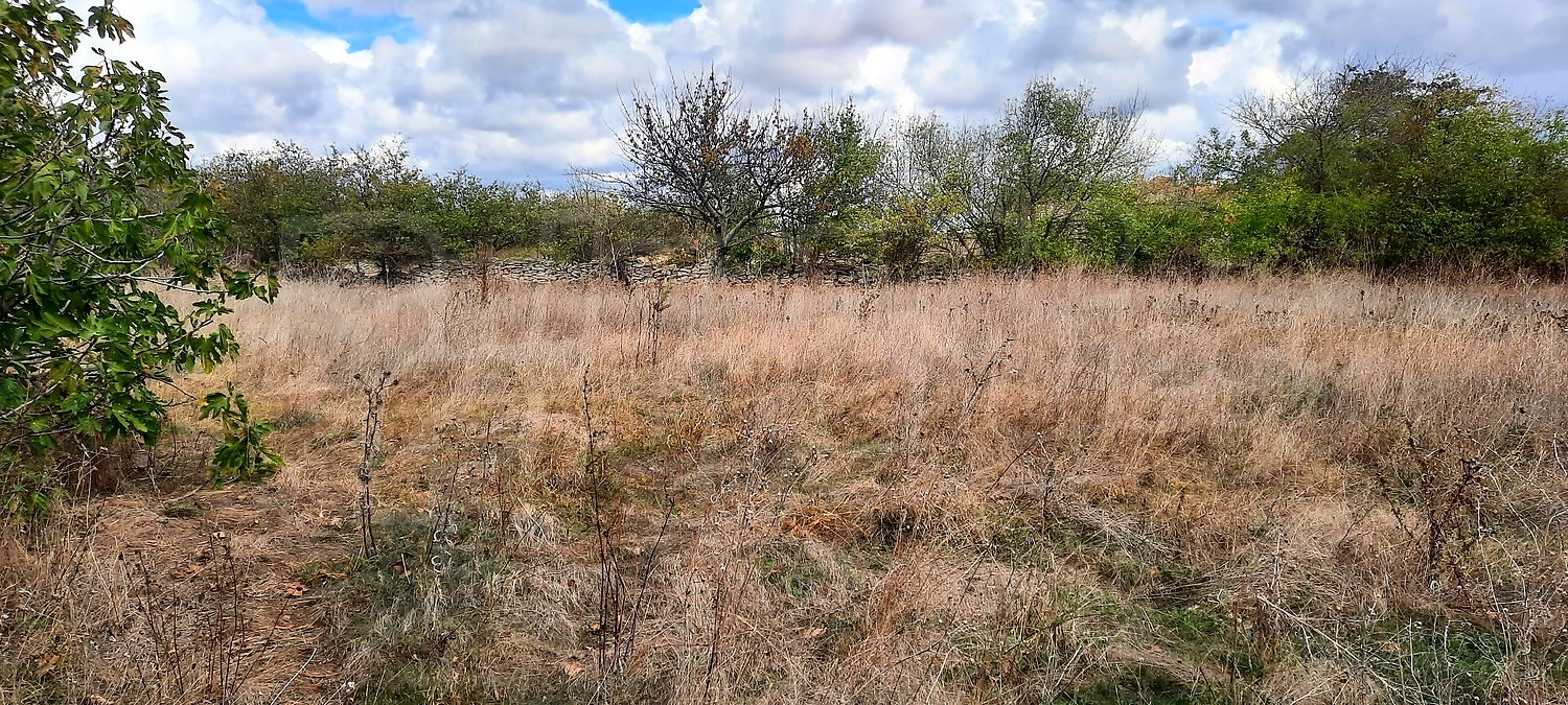 outside, green area