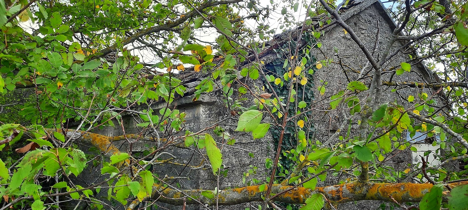outside, facade, garden