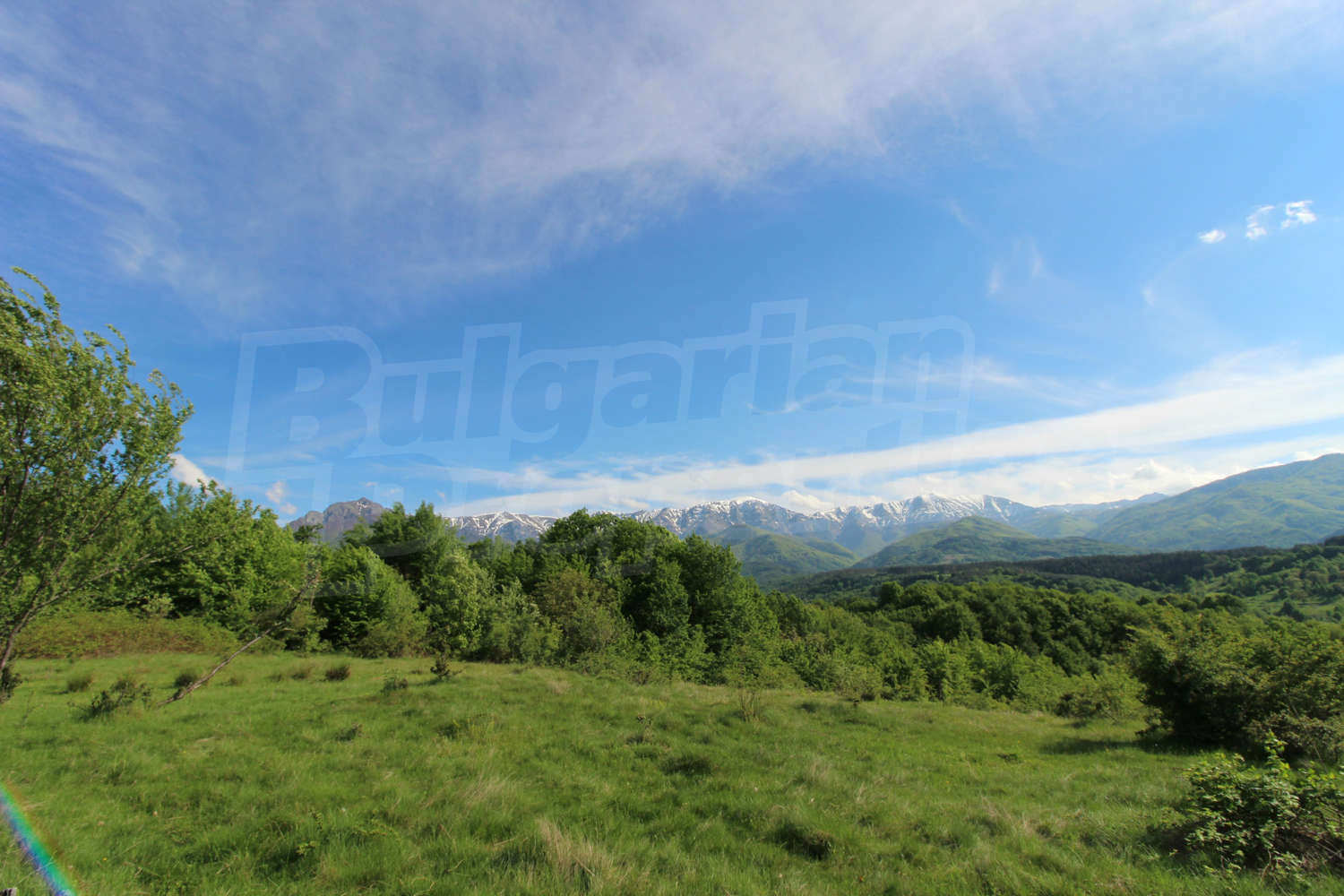 Gallery Picture 15