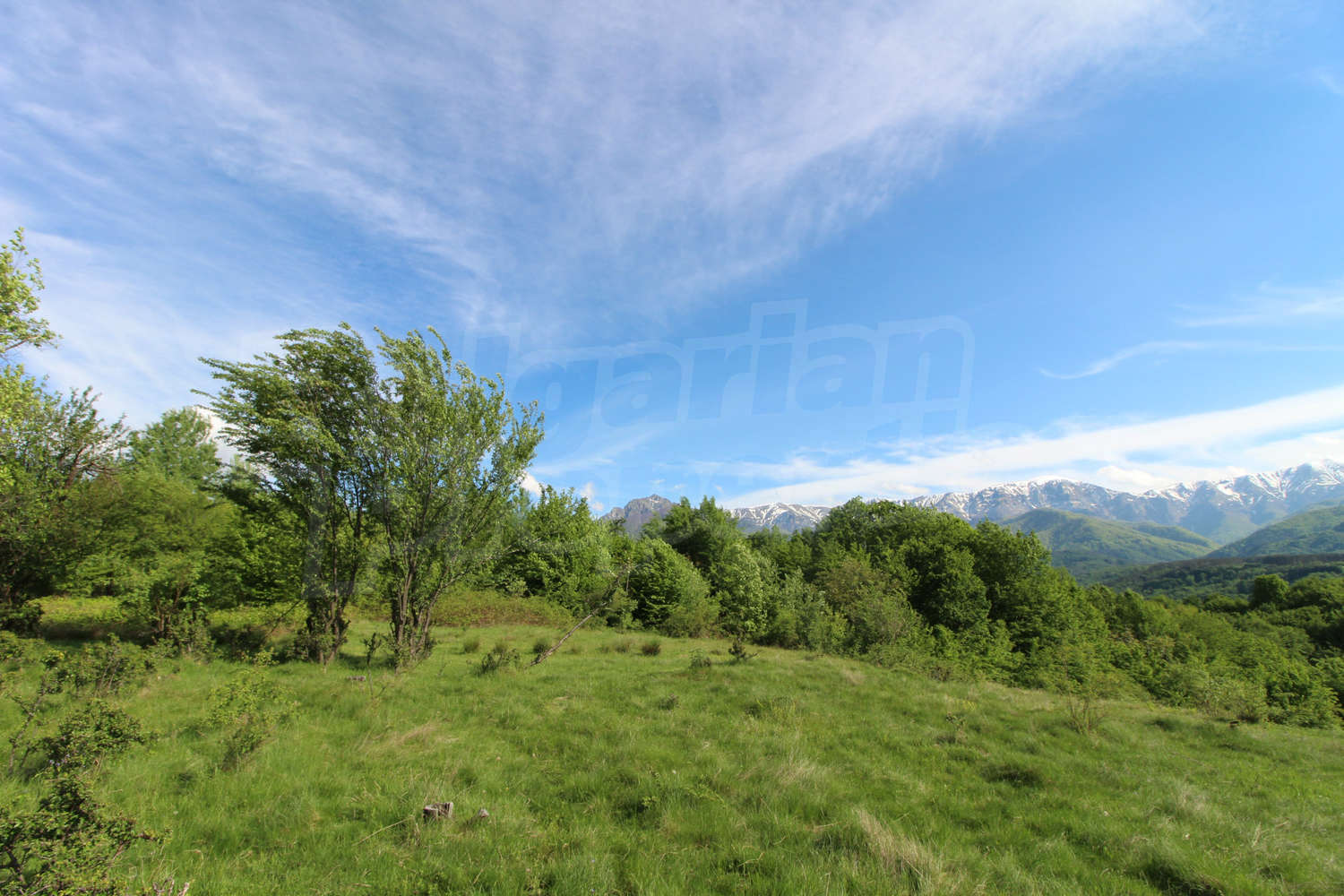 Gallery Picture 16