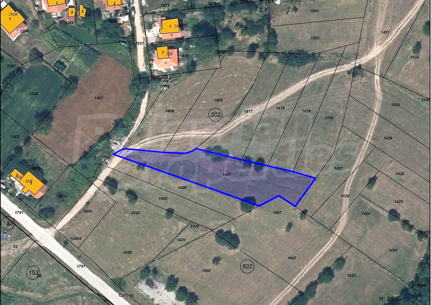 Gallery Picture 2