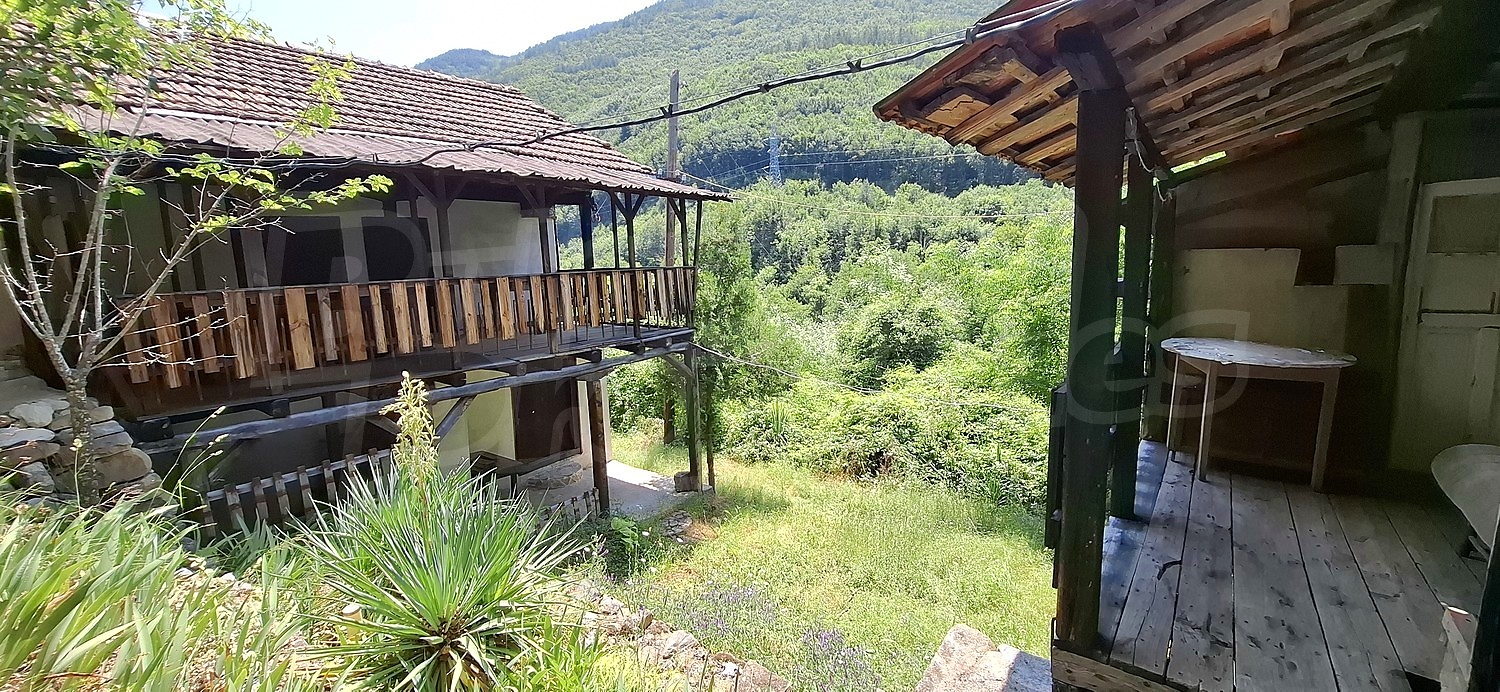 Gallery Picture 7