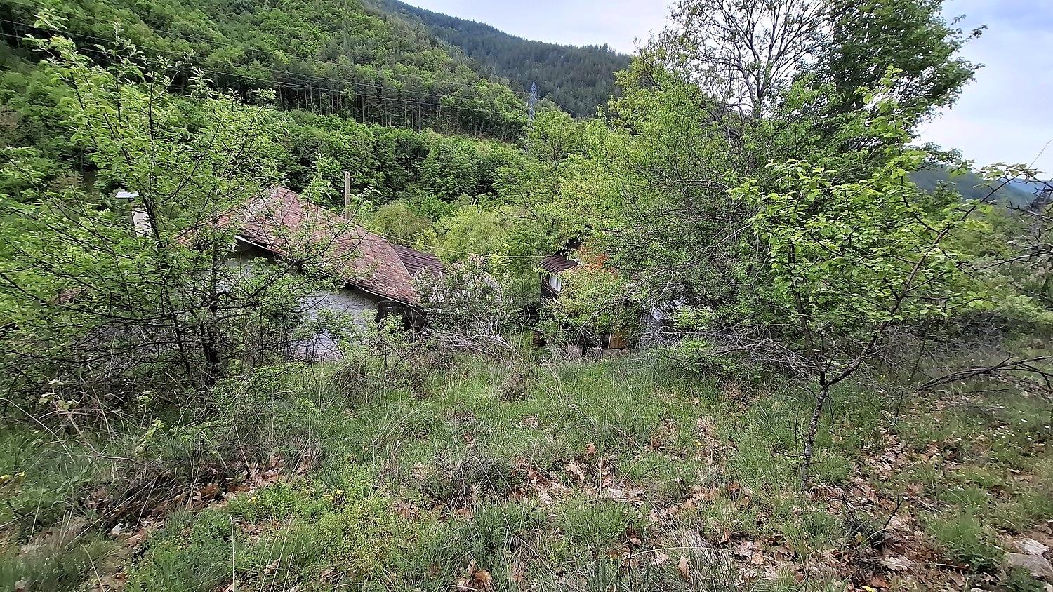 Gallery Picture 36