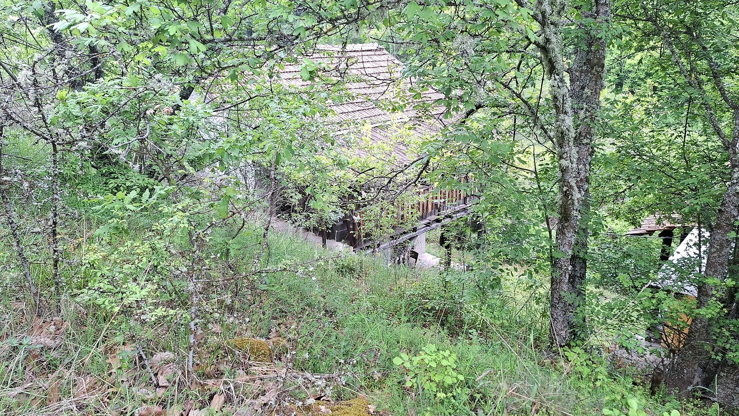 Gallery Picture 38
