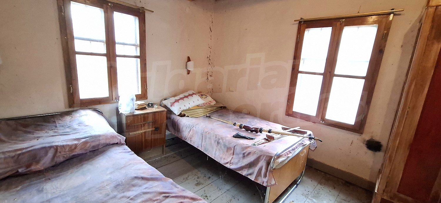 Gallery Picture 19