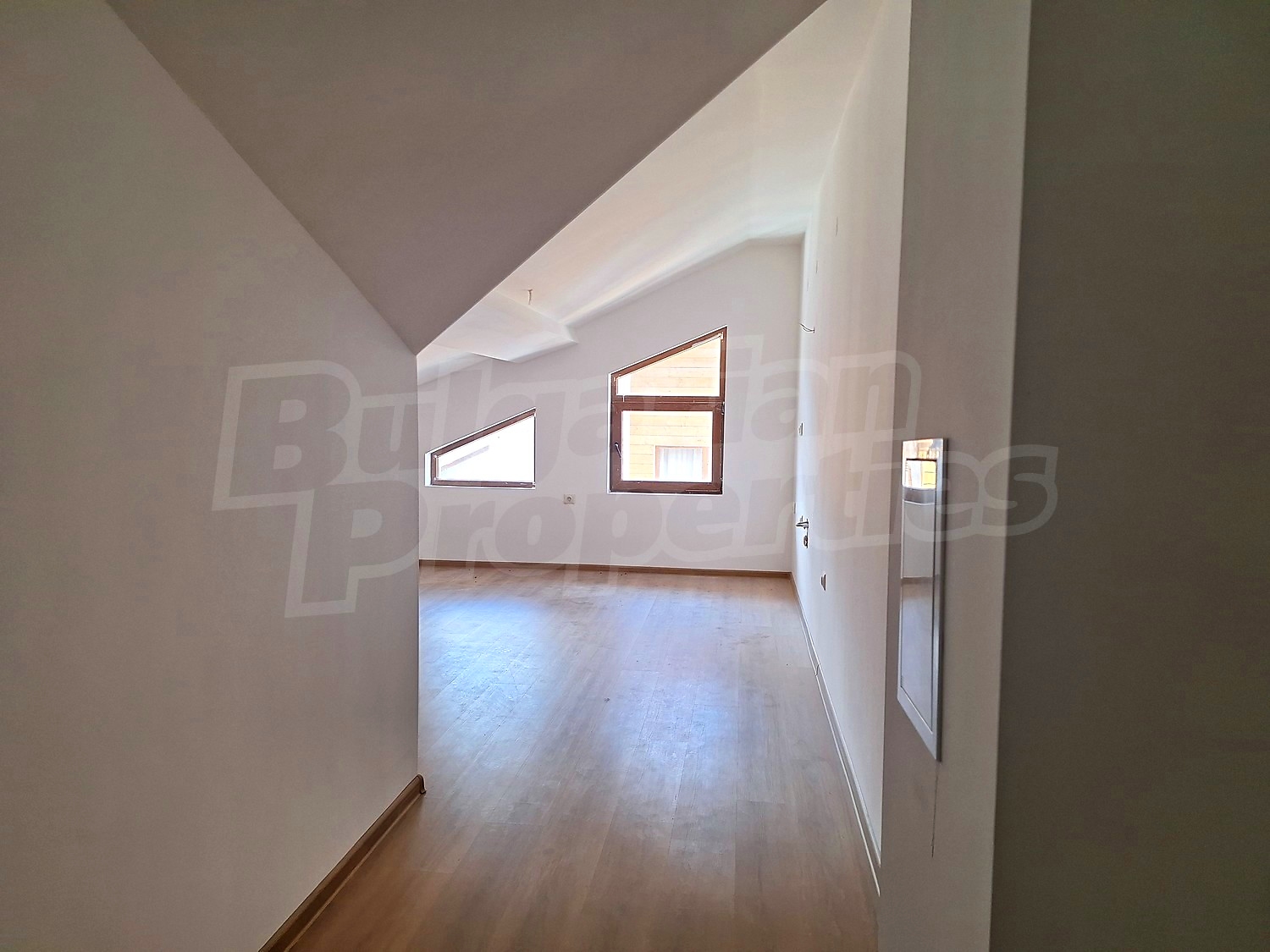Gallery Picture 19