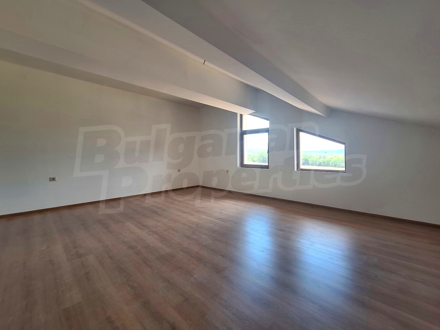 Gallery Picture 14