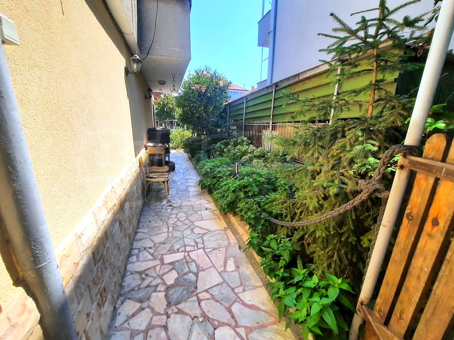 Gallery Picture 23