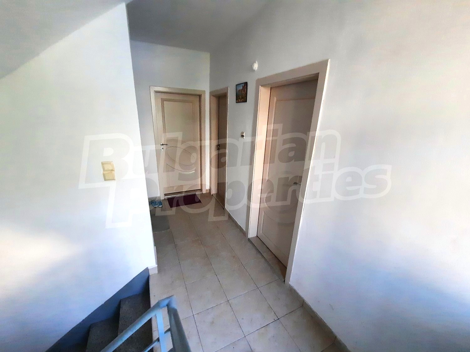 Gallery Picture 17