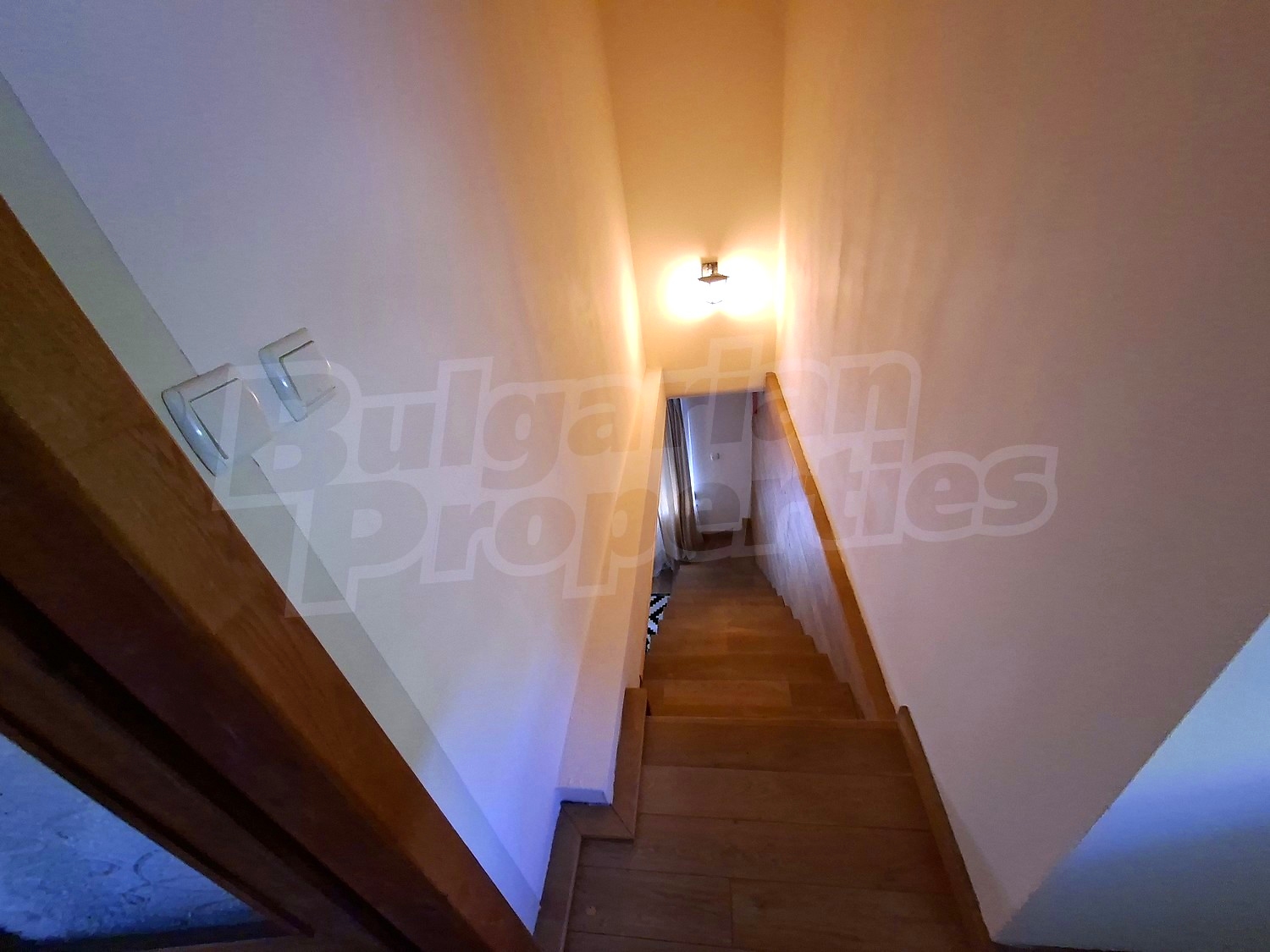 Gallery Picture 38