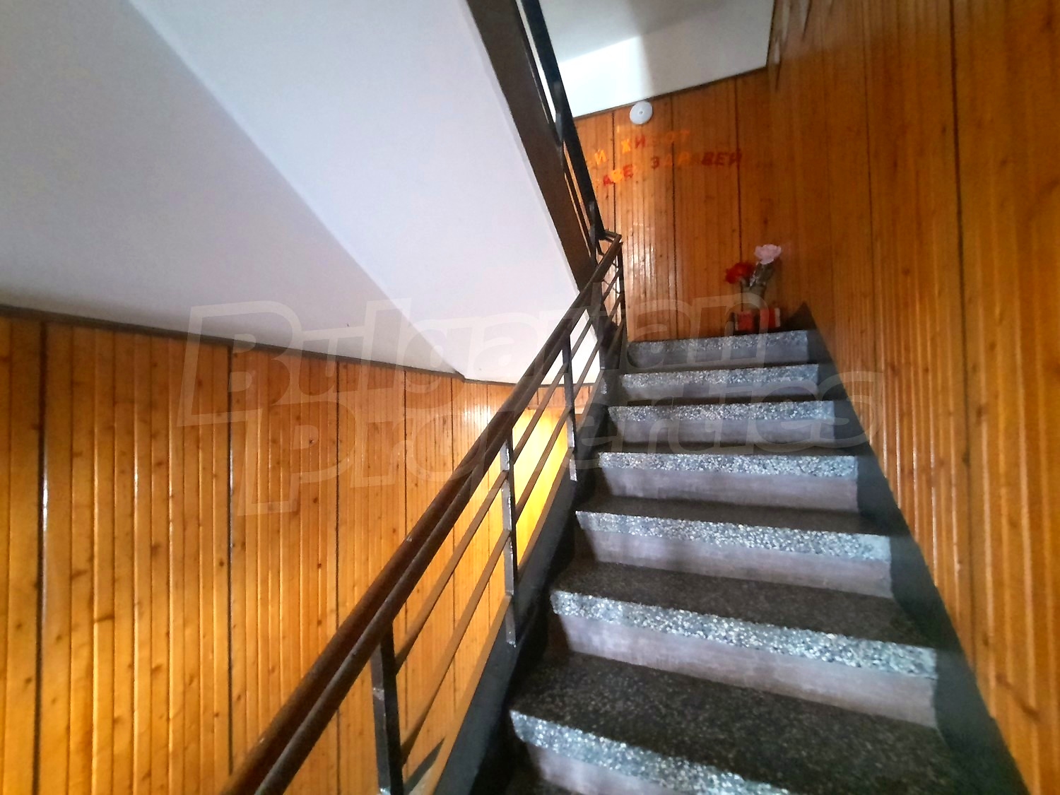 Gallery Picture 13