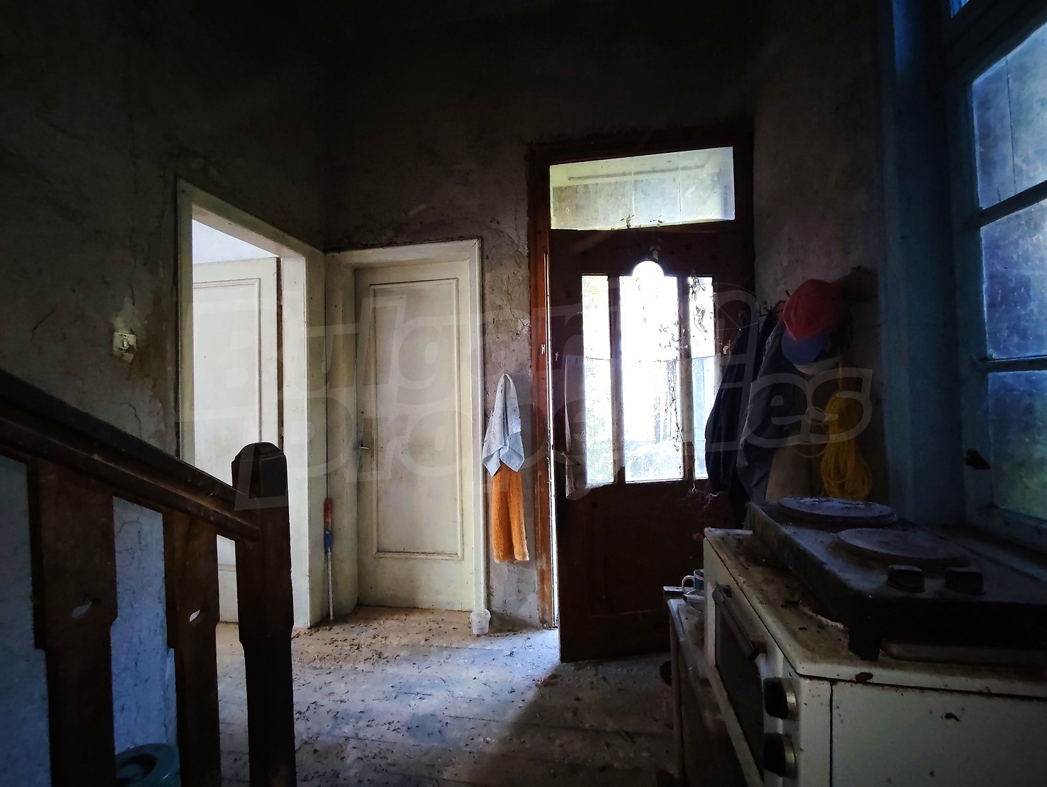 Gallery Picture 7