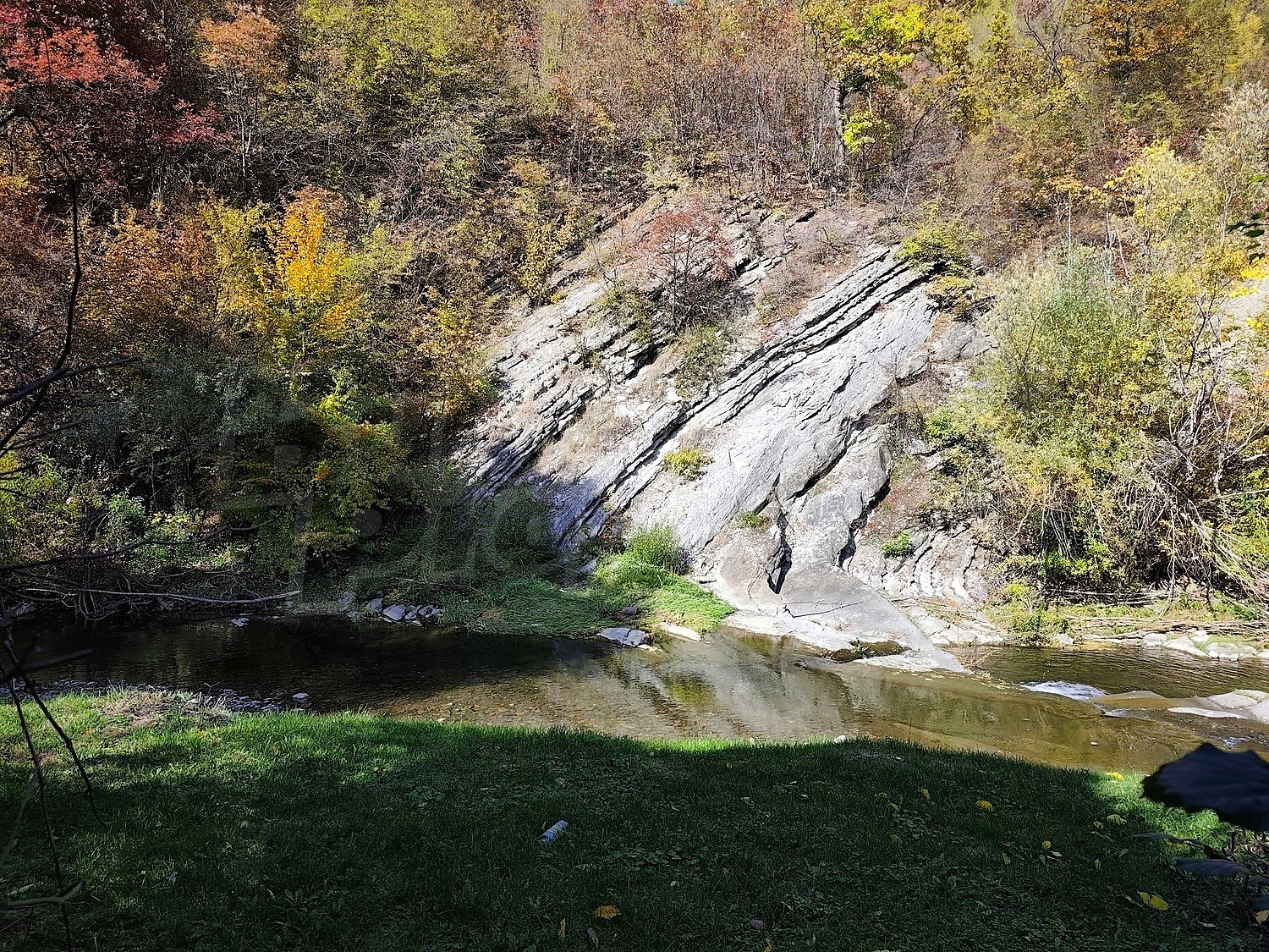 Gallery Picture 47