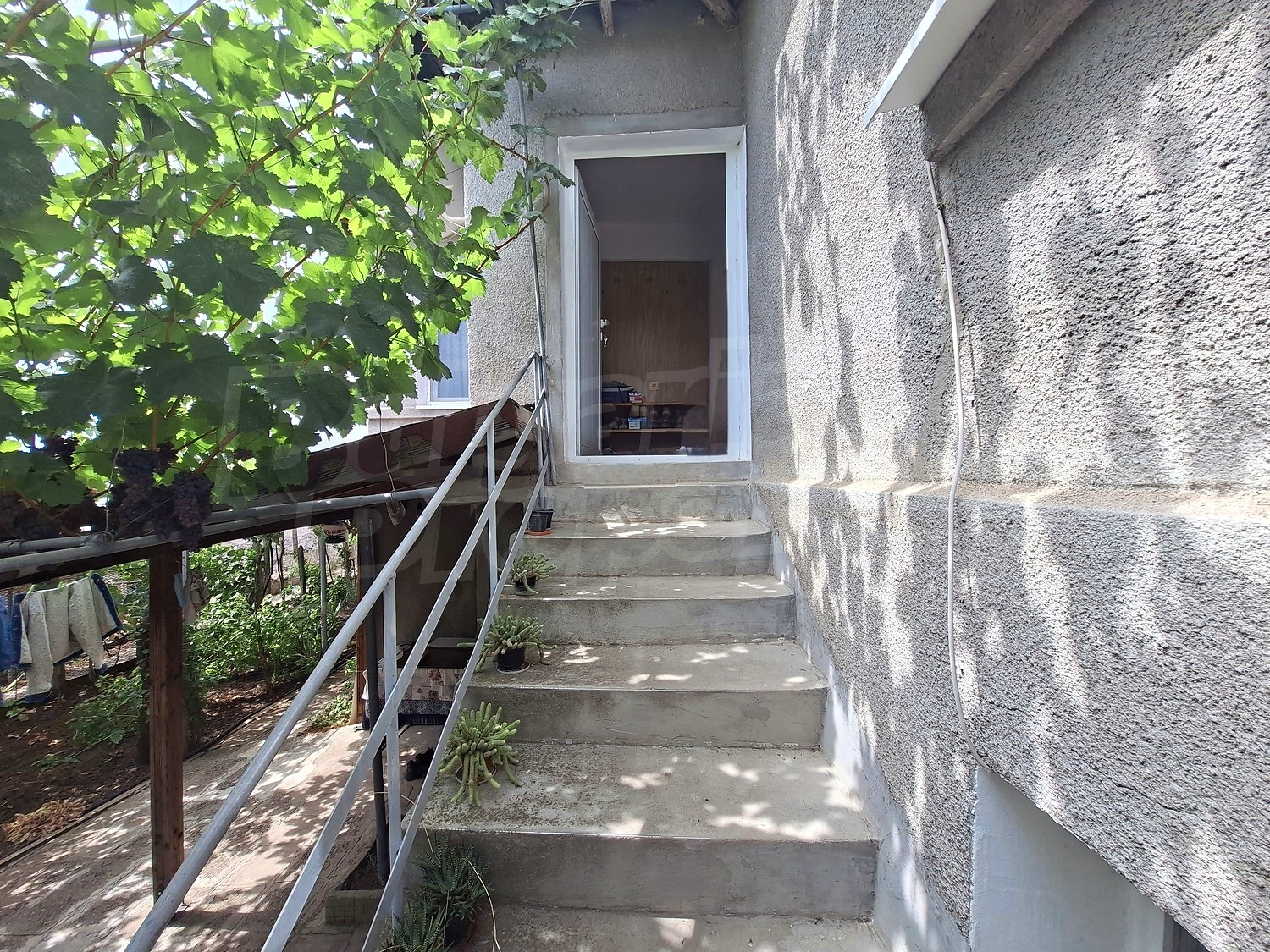 Gallery Picture 15