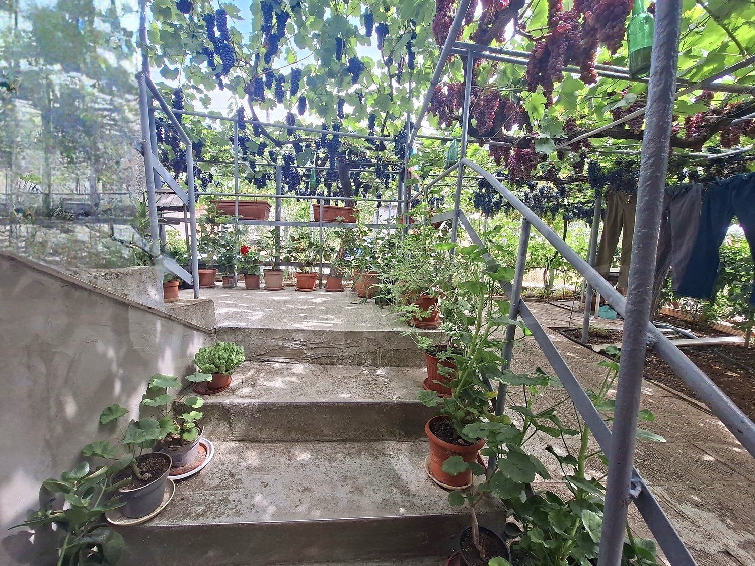 Gallery Picture 18