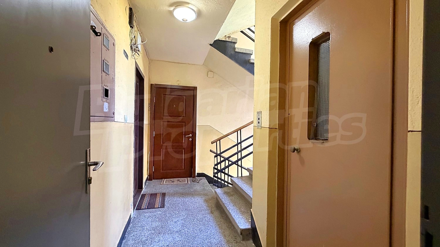 Gallery Picture 37