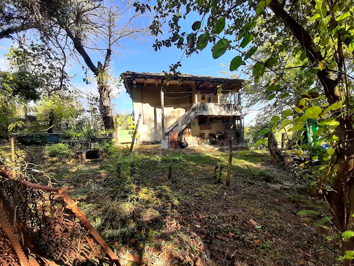 Gallery Picture 13